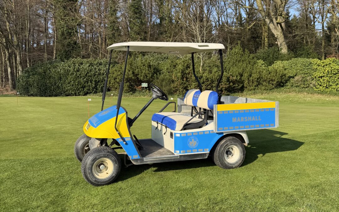 Ein echter Hingucker