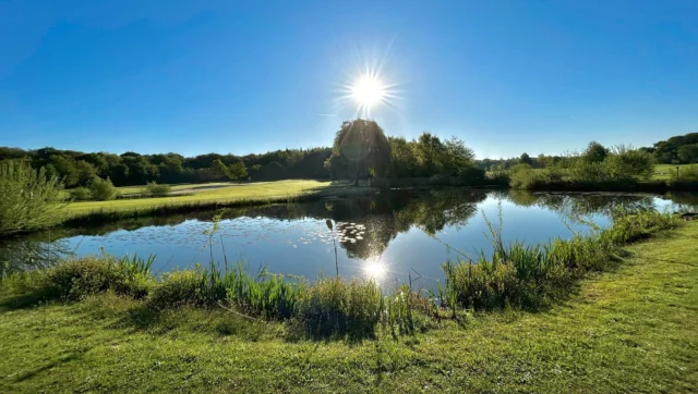 Guten Morgen aus Moyland ⛳️☀️

#lgcschlossmoyland #lgcmoyland #kleve #nrw #bedburghau #golfplatz #golfcourse #golf #golfer #golfsport #sport #golferslife #greenkeeping #green #natur #golfundnatur #golfhochzehn #frühling #spring #sonne #sun #goodvibe #goodmorning #gutenmorgen #earlybird