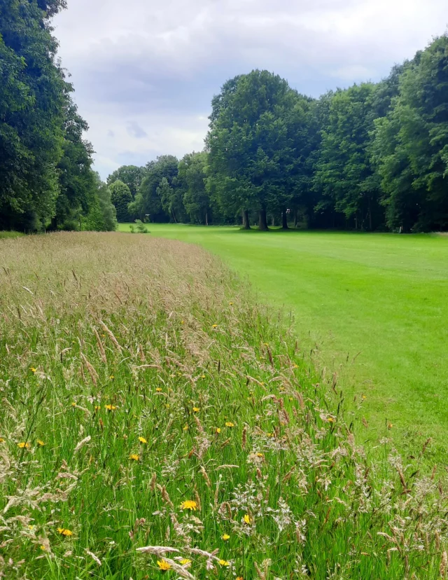 Loch 17 🌿🌼

#lgcschlossmoyland #lgcmoyland #kleve #nrw #bedburghau #golfplatz #golfcourse #golf #golfer #golfsport #sport #golferslife #greenkeeping #green #natur #golfundnatur #golfhochzehn #sommer #summer #rough #goodvibe #goodvibes