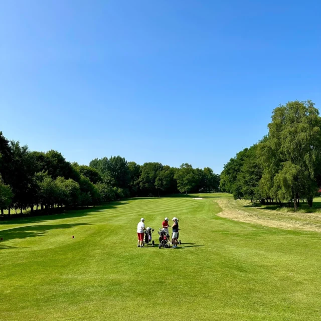 ⛳️🏌🏻‍♀️☀️

#lgcschlossmoyland #lgcmoyland #kleve #nrw #bedburghau #golfplatz #golfcourse #golf #golfer #golfsport #sport #golferslife #greenkeeping #green #natur #golfundnatur #golfhochzehn #sommer #summer #rough #goodvibe #goodvibes